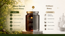 Terai Wild Forest Honey